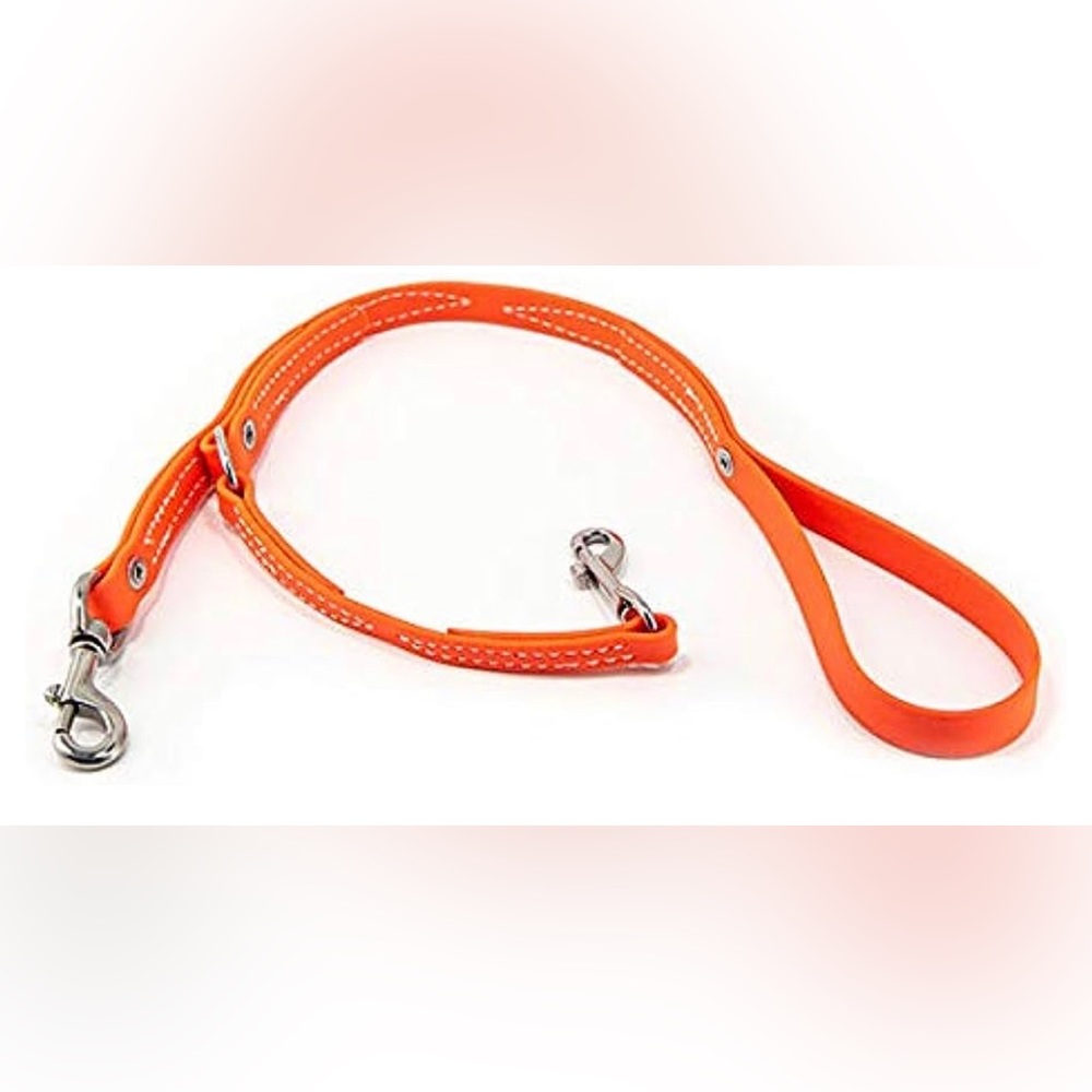 Leerburg BioThane Prong Collar Leash 2' - Orange